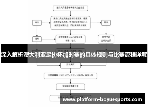 深入解析澳大利亚足协杯加时赛的具体规则与比赛流程详解