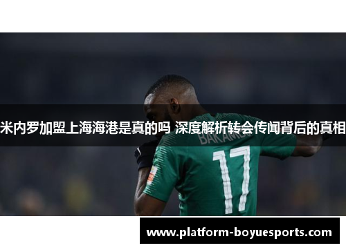 米内罗加盟上海海港是真的吗 深度解析转会传闻背后的真相