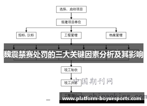 魏震禁赛处罚的三大关键因素分析及其影响